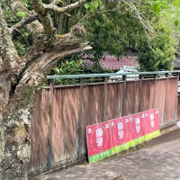 大甘口・超軟水 ・・・・・銘酒 賜冠（しかん）