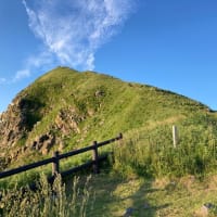 利尻島、礼文島の旅　2025/6/23〜25その1