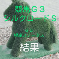 競馬Ｇ３　シルクロードステークス　根岸ステークスを振り返る　　馬券の結果
