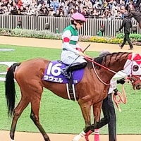 🐴おうまさん(25/6/22②)　府中牝馬S・🐦しらさぎS・地方2重賞