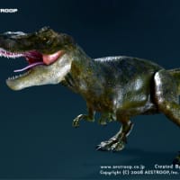 T-Rex （ティラノサウルス） 4