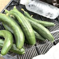 7月27日（日）②
