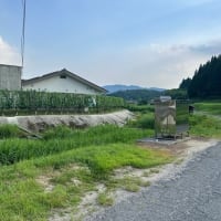 さっぱりしました。