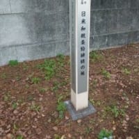 ザ・ホフブロウで誕生日ランチ