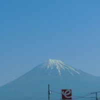 みどりの日・茶原と富士山