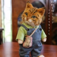 お人形野生猫シリーズ 砂漠のワイルドキャット系