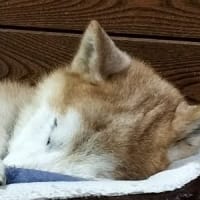 生活パターンが変わり・・・
