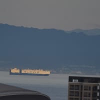 風邪のち雨