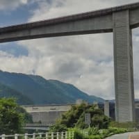 去年と今年