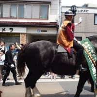 チャグチャグ馬コ／３ヶ月