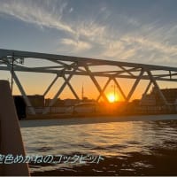 移住から一年～