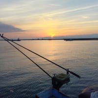 鯵釣り