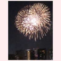 ★隅田川花火大会2025（動画あり）★