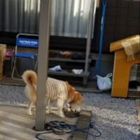 クリンへの想いは尽きなくて・・・307