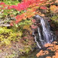 「東北の小嵐山中野もみ...」