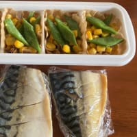 魚は茹でると良いらしい・風邪で発熱・お弁当の作り置き