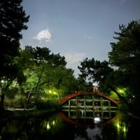 住吉大社　七夕まつり　令和7年7月7日♩