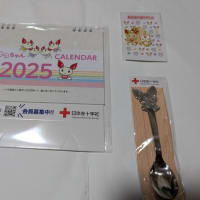 献血（２７回目）
