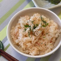 セロリのレッスン