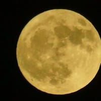 昨夜の月