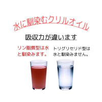 血管　しなやか作戦⑥骨と筋肉から出るホルモン