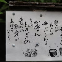 名言の寺