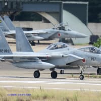 ウクライナ情勢-ロシア政府中央軍司令官ソロドチュク将軍任命,クルスク作戦で歩兵突撃を重視