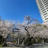 練習報告～2025年4月～