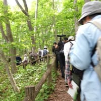 おさんぽガイドに参加しました