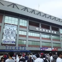 島茂子ナイター
