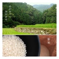 新米