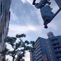 本日も浪速区今宮戎上空地震雲。連日地震雲が出ているので７月５日には大阪は多少揺れるかも。