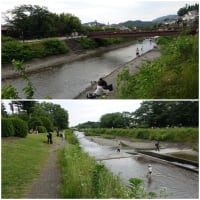 ター坊とお墓参り