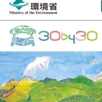 雨の砂場は独り占め105自然共生サイト