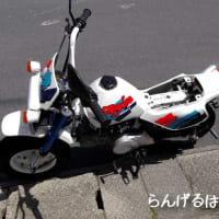 65dab8a9a9ee88eecc1874b5bdc04a