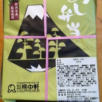 三島駅　桃中軒　みどりの　抹茶めし弁当　これはこれは