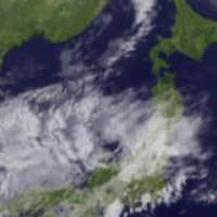 これはなんだろう(・ω・`)?