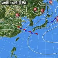 夏の日に