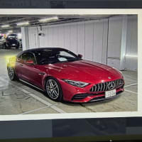SL43AMG