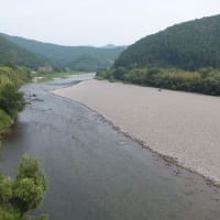 本日の海部川