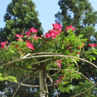 湧永満之記念庭園
