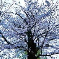 photo4/08