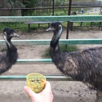 掛川花鳥園