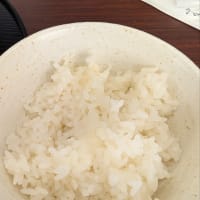 7月12日武蔵嵐山・麺座すず丸