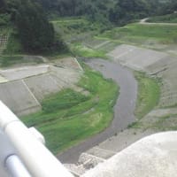 猛暑日だと知らずに走って来ました。