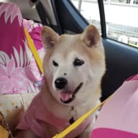 クリンへの想いは尽きなくて・・・310