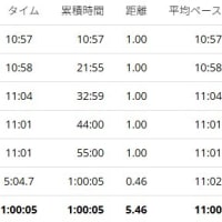 ＪＯＧ備忘録【2025年5月3日(土)】
