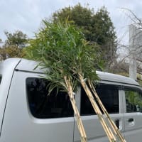 神事用の竹採り