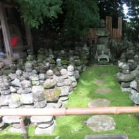 鎌倉散歩～杉本寺（杉本観音）