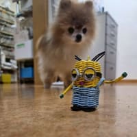 ショートカットらよ